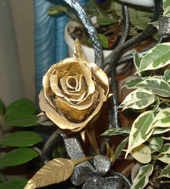 Роза золотая